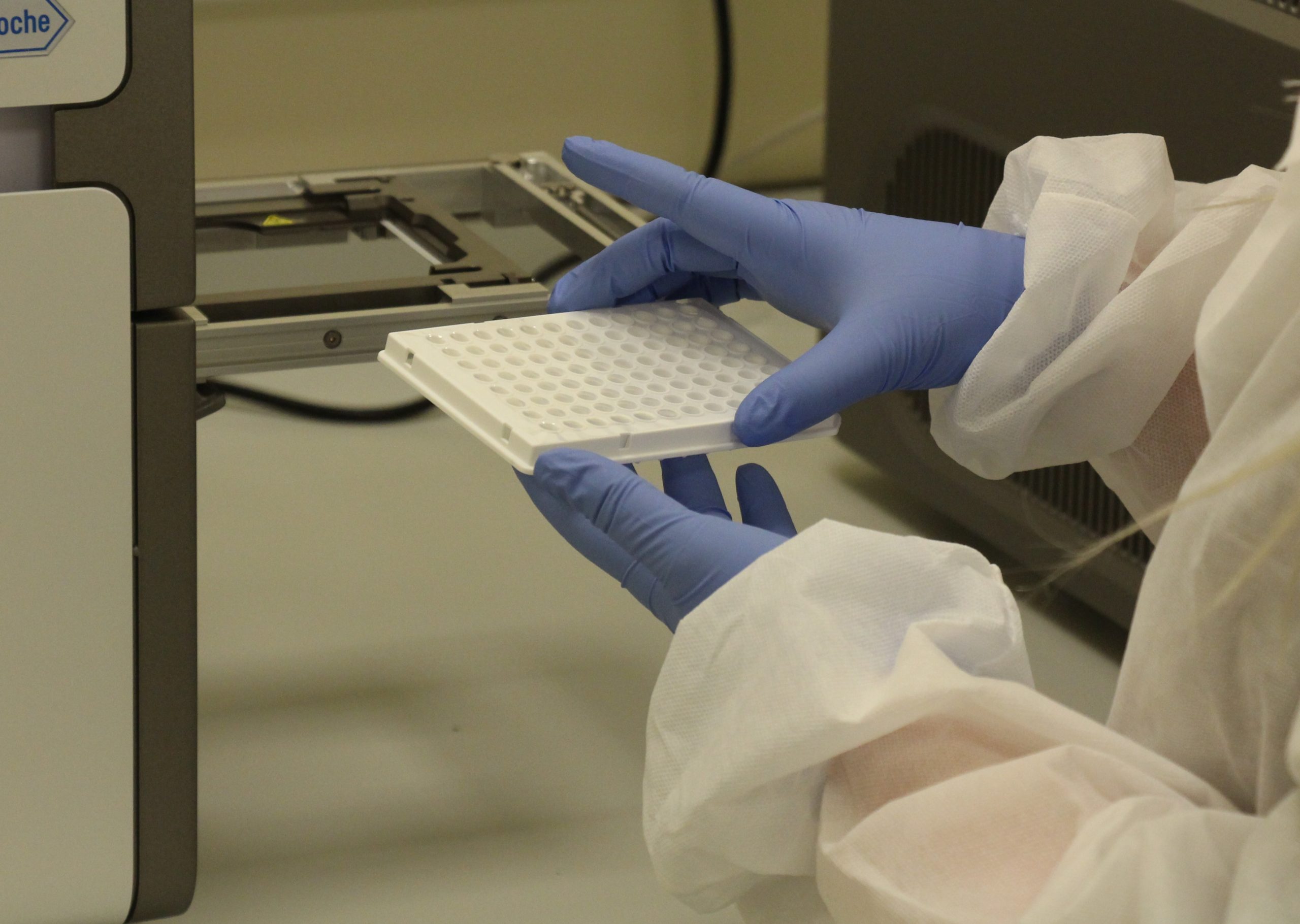 A close up of someone's hands handling a testing sample.