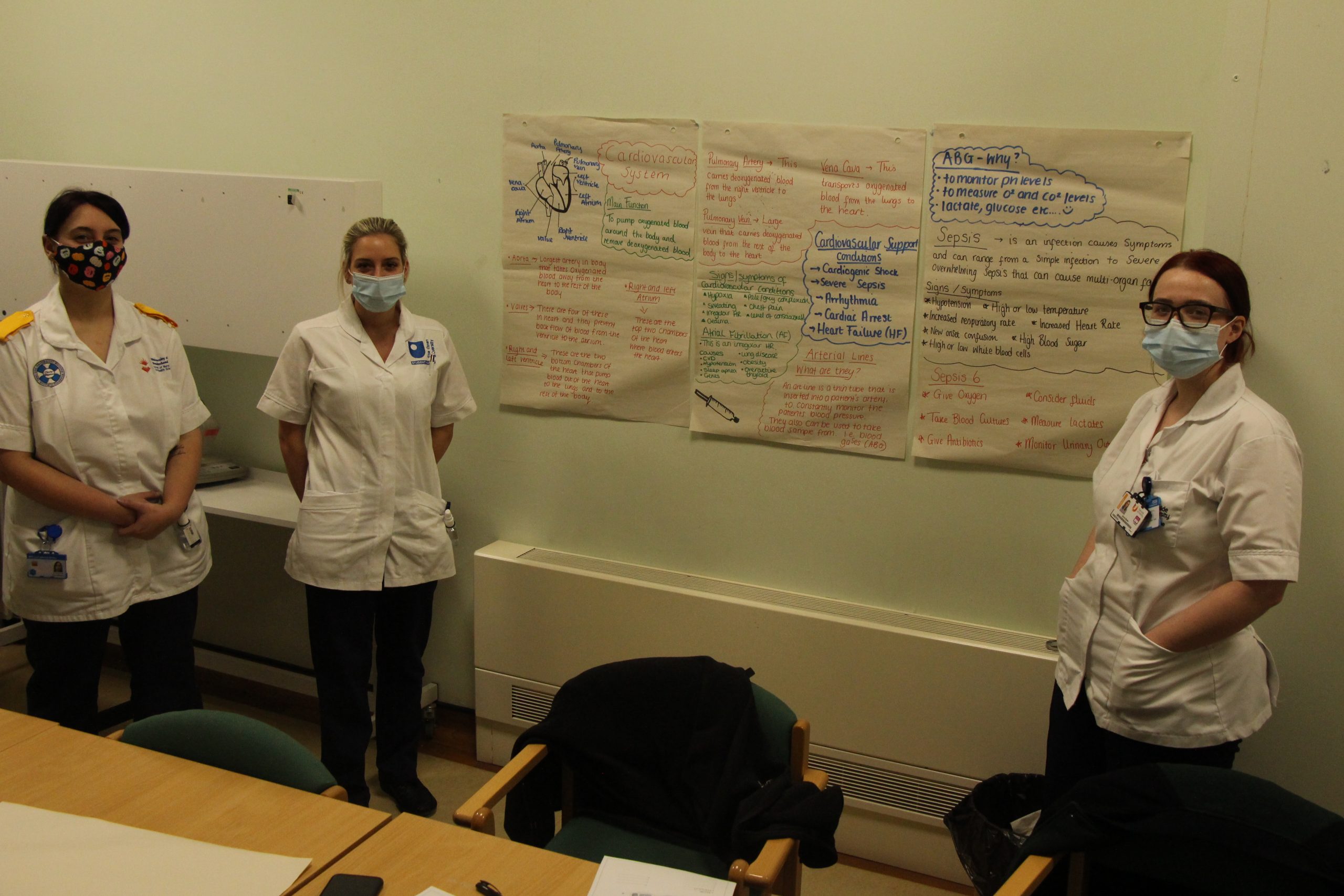 Nurses talk through posters they have created.