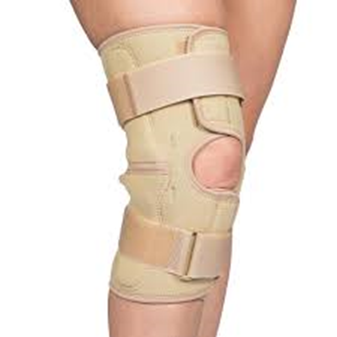 knee support