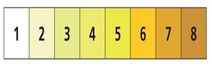 colour of urine on a scale of 1-8 regarding hydration