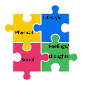 jigsaw pieces; physical, lifestyle, social and feelings/thoughts.
