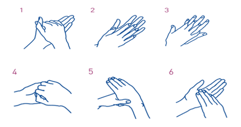 Step by step image showing how to wash your hands properly