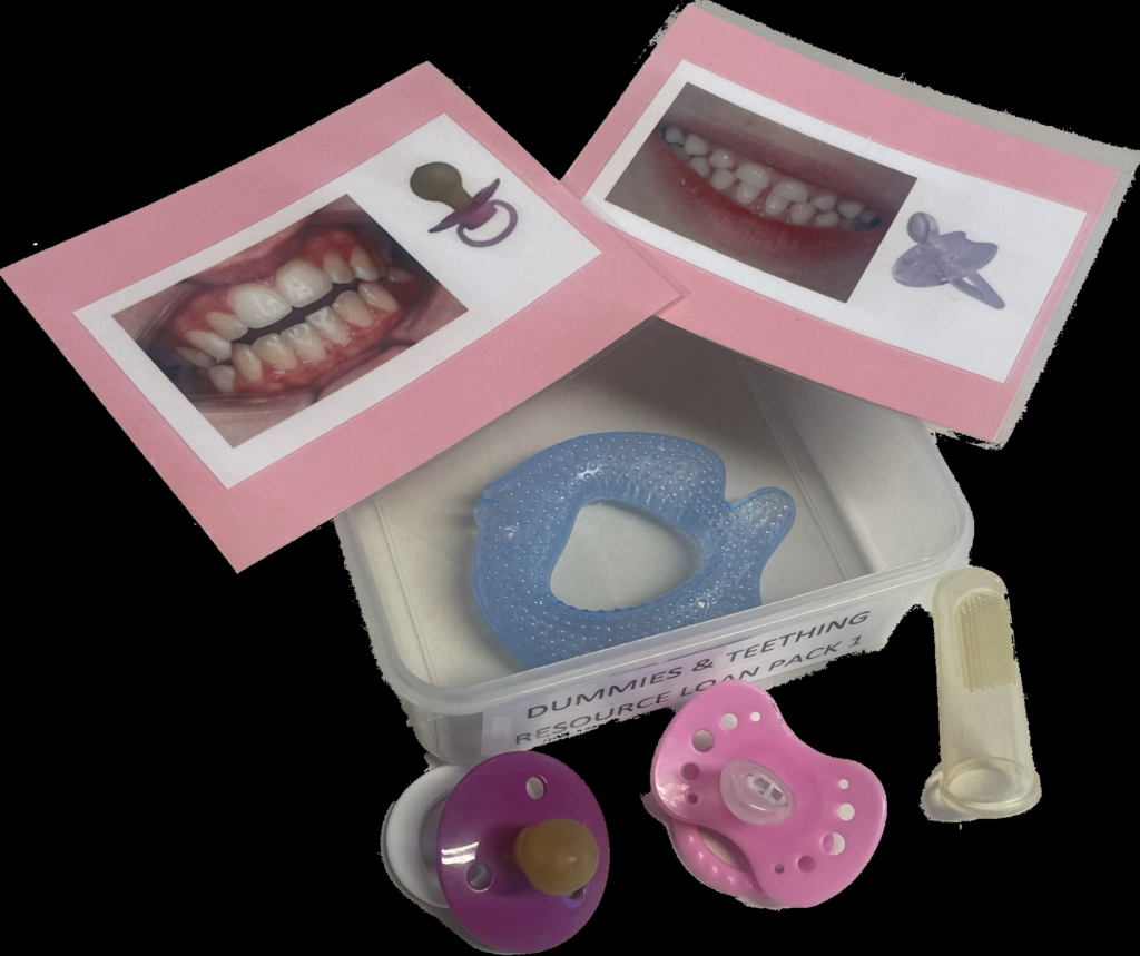 Items included in the dummies and teething resource box