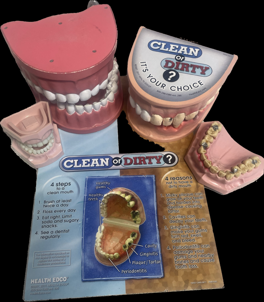 Items included in the tooth brushing resource box