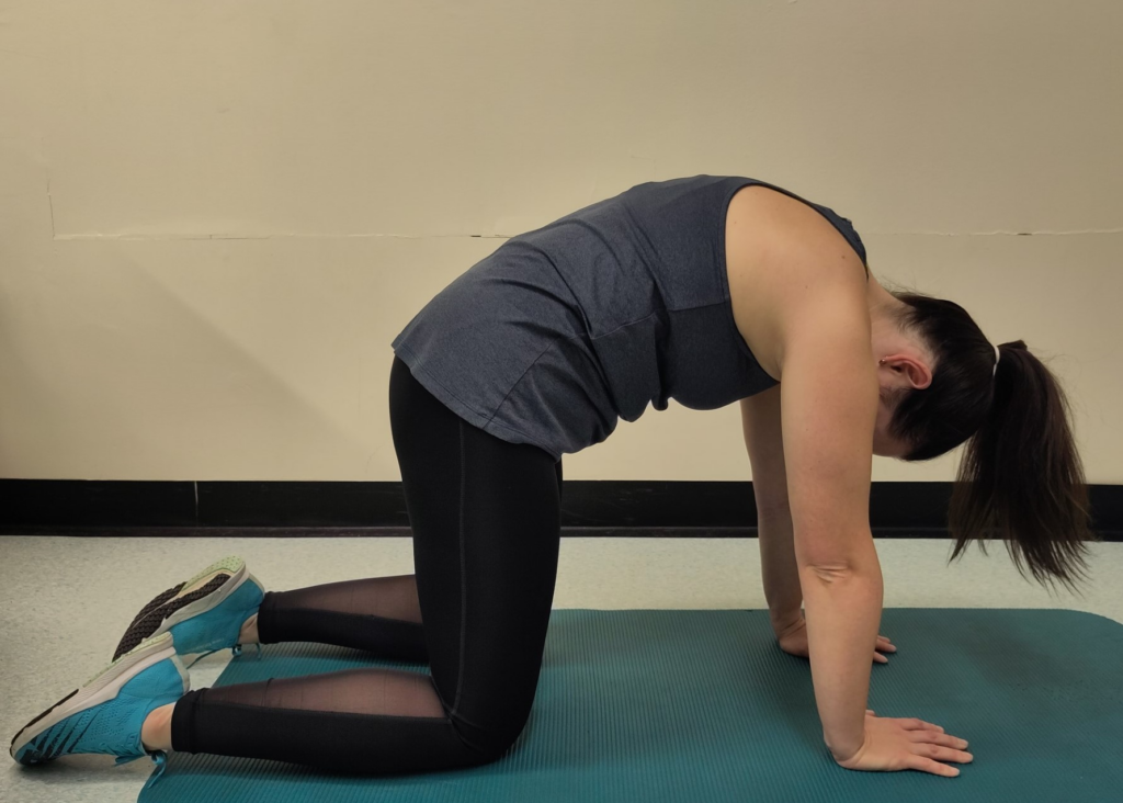 tilting your pelvis forwards towards the floor, rounding your back and lifting your head.