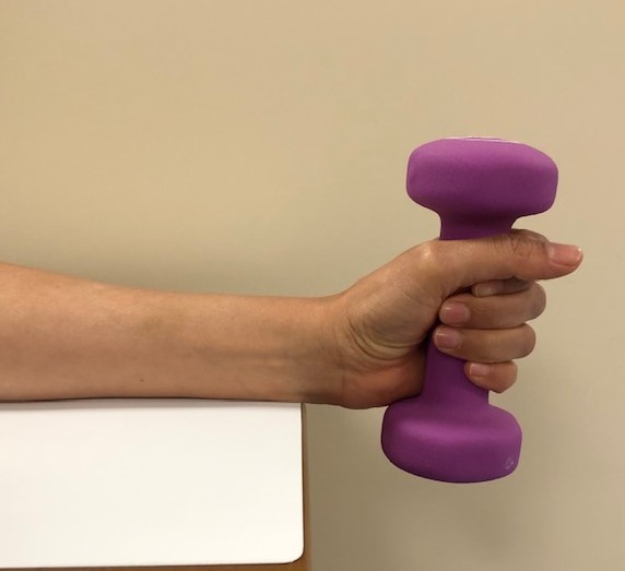 Picture showing a hand holding a free weight doing the Isometric Wrist Hold.