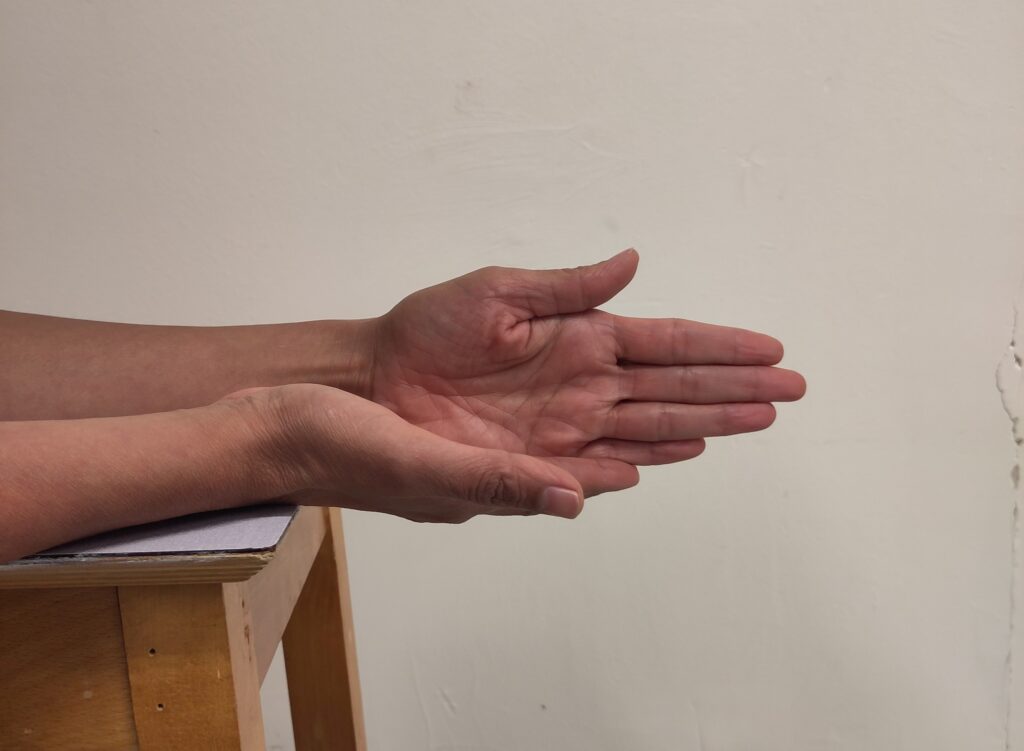 Second part of the Assisted Wrist Deviation exercise