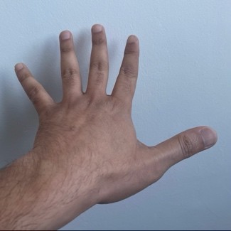 A hand with fingers spread wide.
