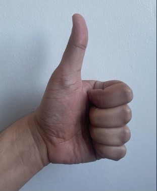 A hand with the thumb raised and fingers clenched into the palm. I an ok gesture.