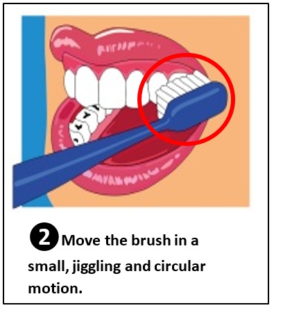 Brushing the sides of the teeth.