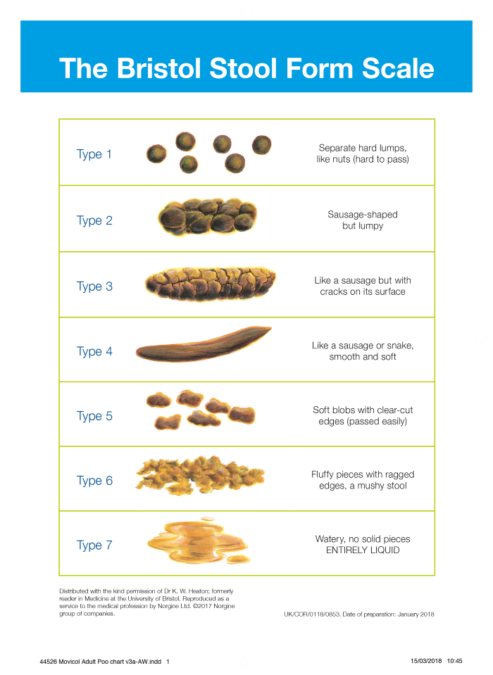 the Bristol Stool Chart