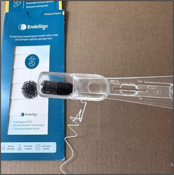 Sponge Capsule Pre Insertion