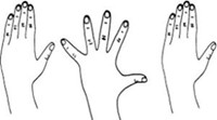 The hand with fingers straight and then spreading the fingers wide and then bringing them back together.