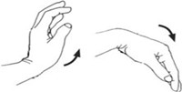 The hand with fingers straight and moving the wrist up and down.
