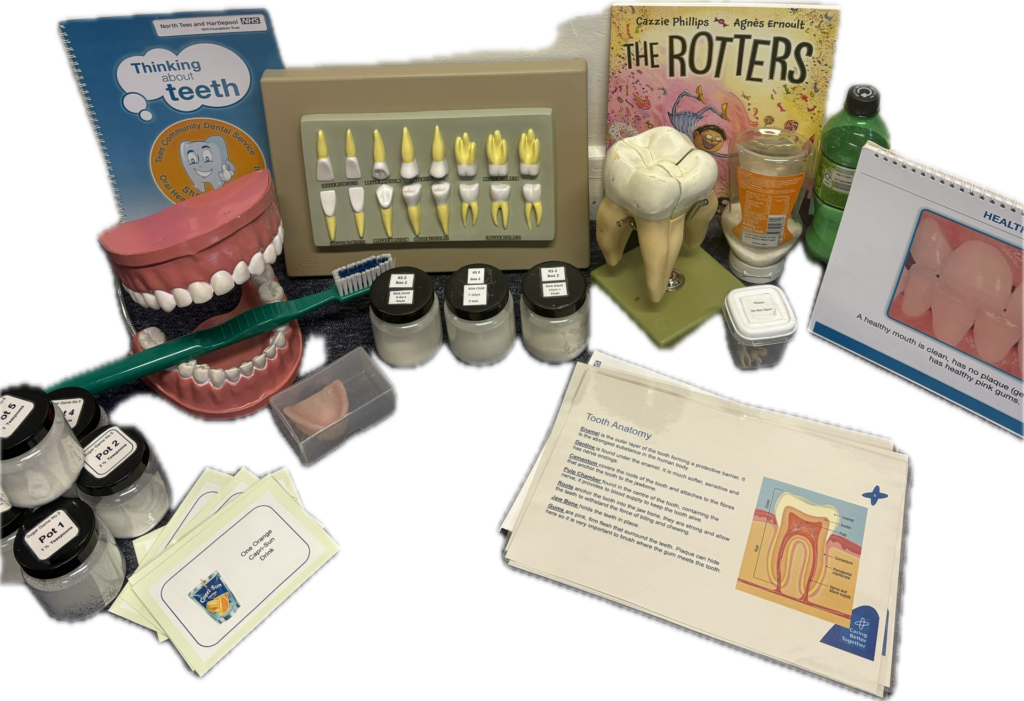 Example of resource items you will find in the KS2 dental resource box.