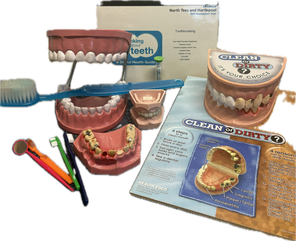 Example of resource items you will find in thetoothbrushing dental resource box.