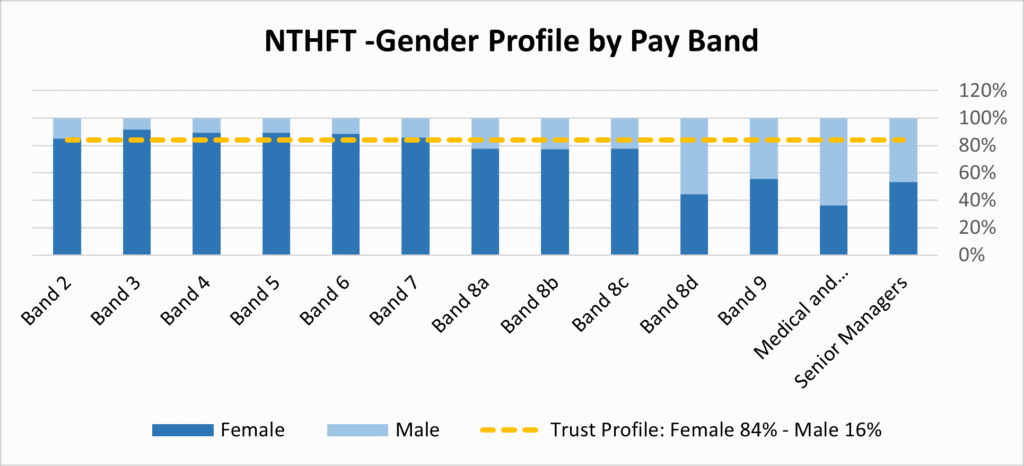 Chart 1. Gender profile by pay band 2024 to 25.