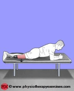 showing how to complete the exercise