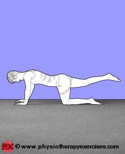 showing how to complete the exercise
