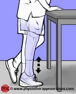 showing how to complete the exercise