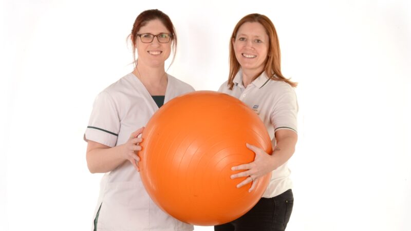 Occupational therapists