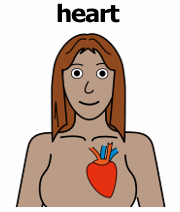 woman with a big read heart