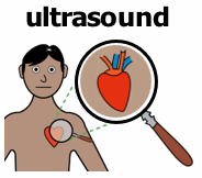 a microscope looks at a heart