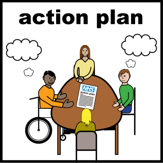 Easy read - action plan