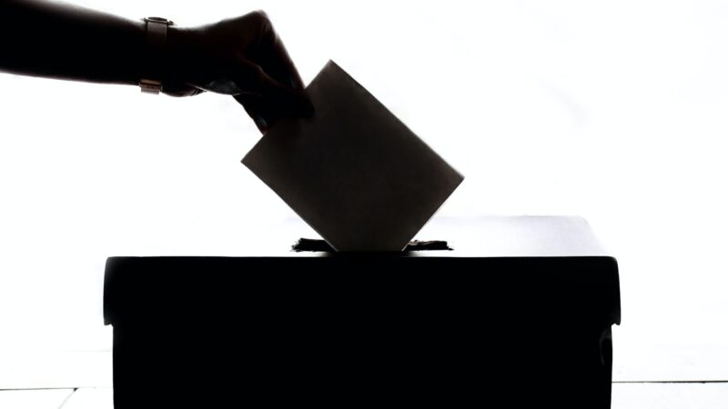 Ballot box image of person voting