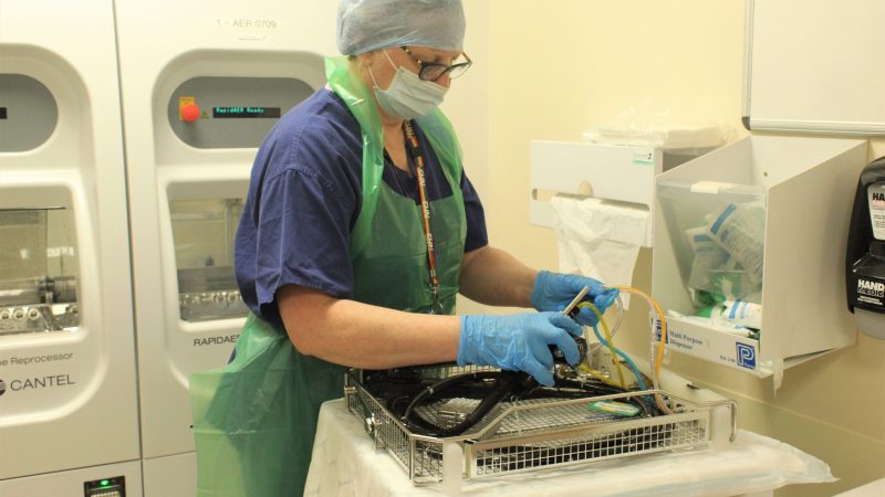 A member of staff cleaning an endoscope. They wear globes, an apron, a face mask and a head cap.