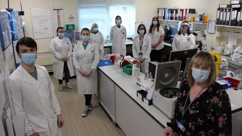 The biomedical scientist team stand in a lab.
