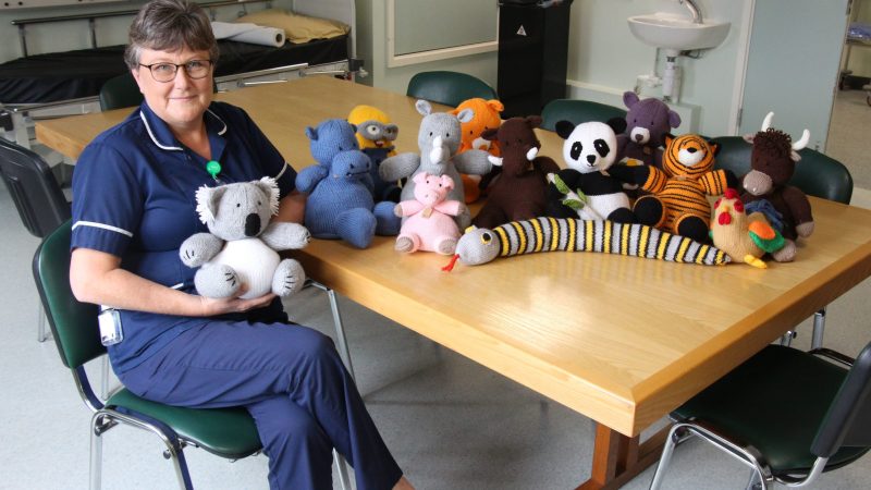 Jeanette Draffan and her knitted toys