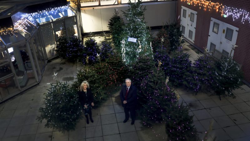 Julie Gillon and Bob Cook stand among lit-up Christmas trees,